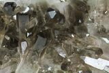 Dark Smoky Quartz Crystal Cluster - Brazil #84855-2